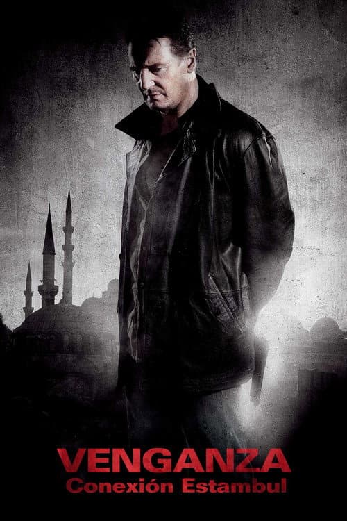 Póster de Venganza: Conexión Estambul