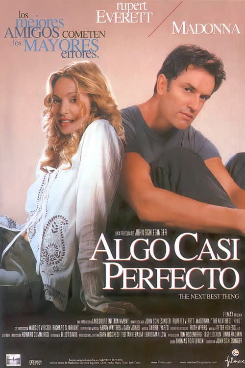 Póster de Algo casi perfecto