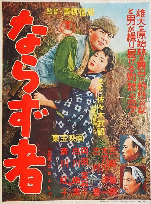 Póster de ならず者