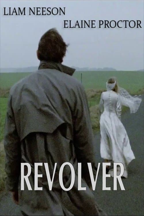 Póster de Revolver
