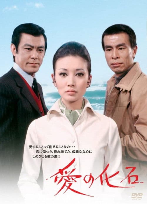 Póster de 愛の化石