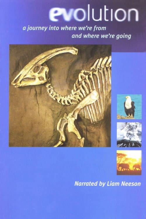 Póster de Evolution - Darwin's Dangerous Idea