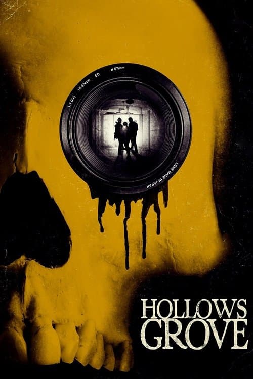 Póster de Hollows Grove