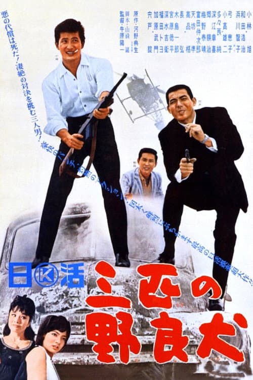 Póster de 三匹の野良犬