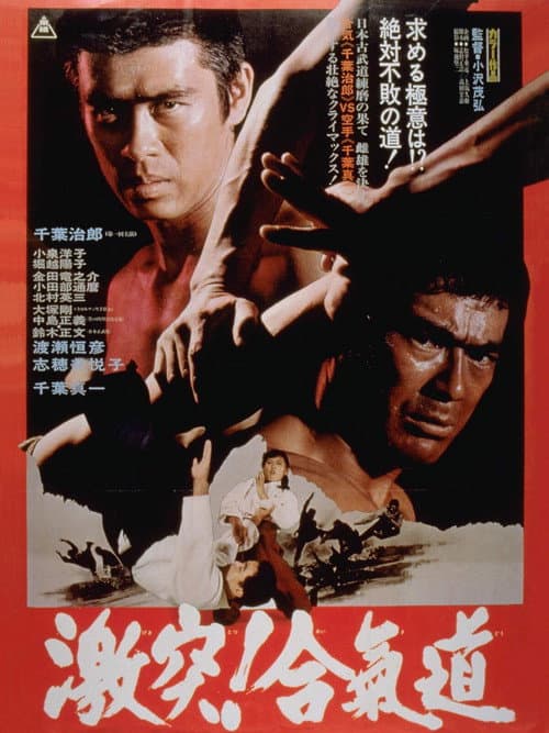 Póster de The Power of Aikido
