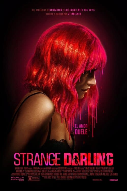 Póster de Strange Darling