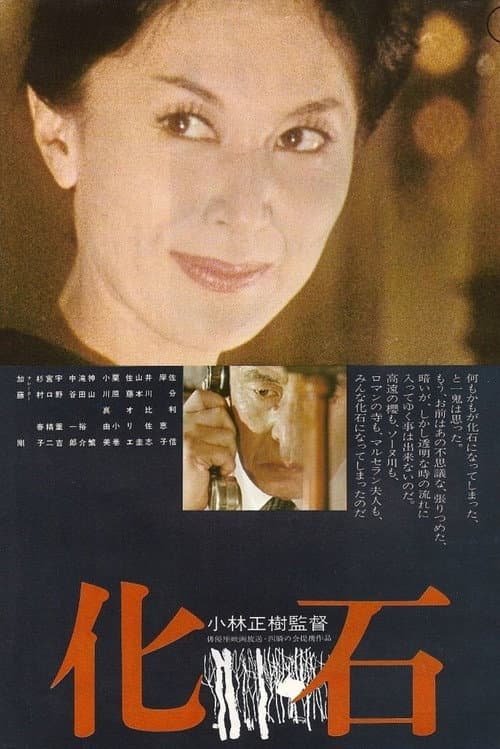 Póster de 化石