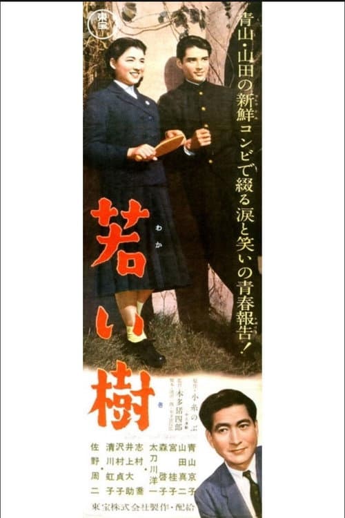 Póster de 若い樹