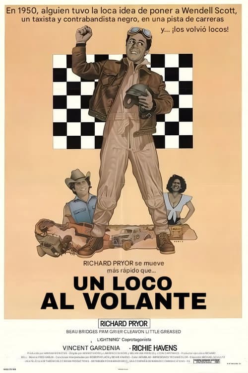 Póster de Un loco al volante