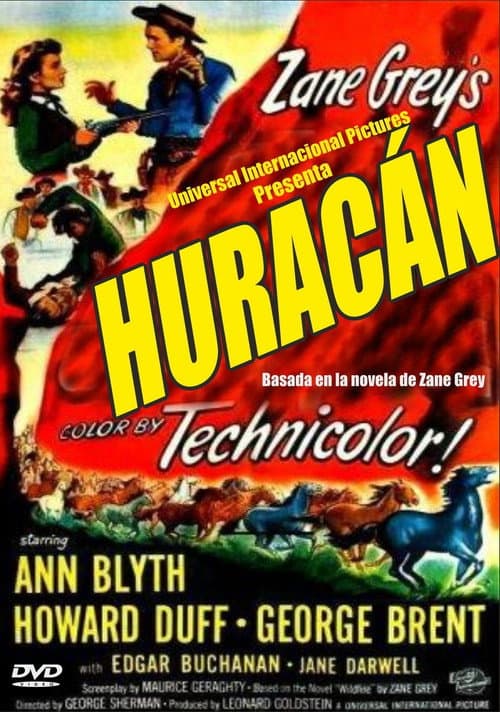 Póster de Huracán