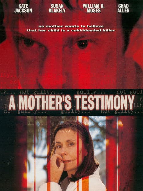 Póster de El testimonio de una madre
