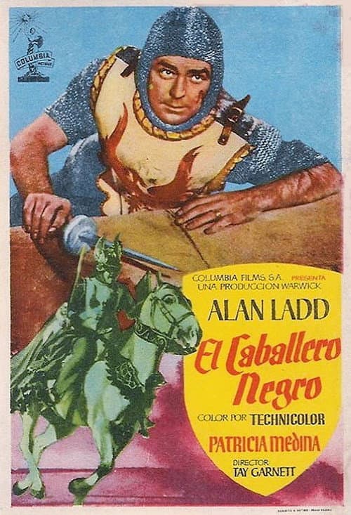 Póster de El caballero negro