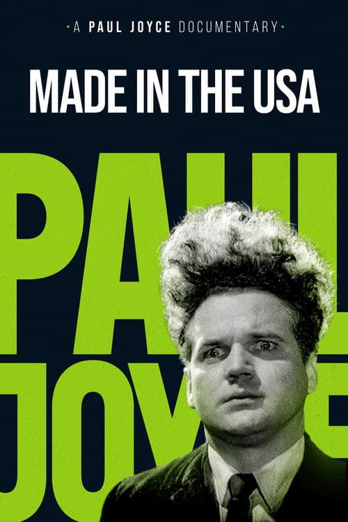 Póster de Made in the USA
