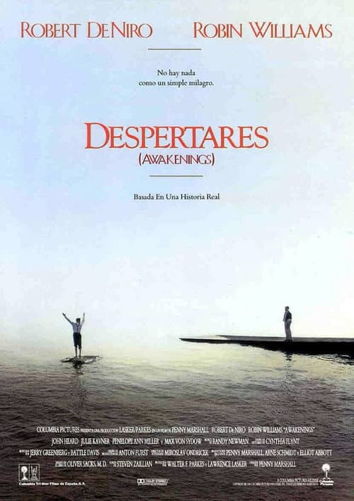 Póster de Despertares