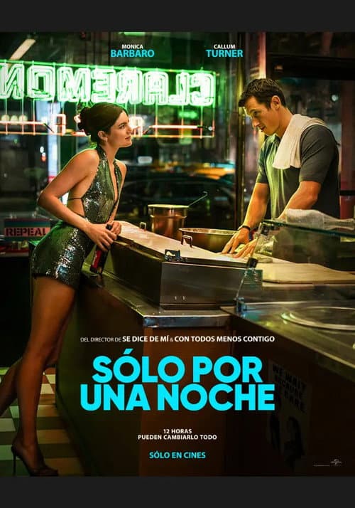 Póster de Una noche al año