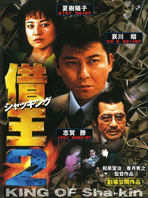 Póster de 借王2