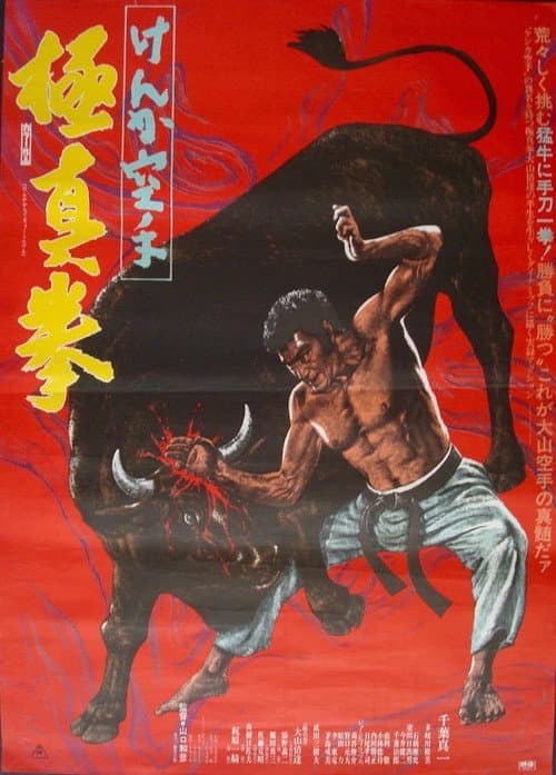 Póster de けんか空手 極真拳