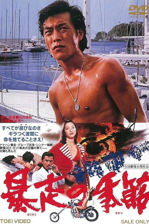 Póster de 暴走の季節
