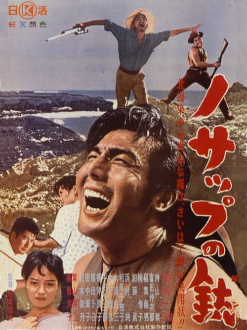 Póster de ノサップの銃