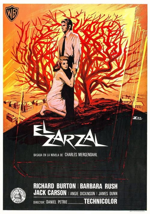Póster de El zarzal