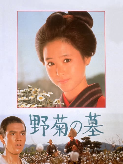 Póster de 野菊の墓
