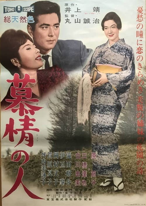 Póster de 慕情の人