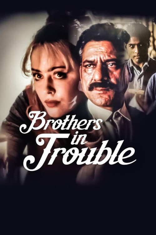 Póster de Brothers in Trouble