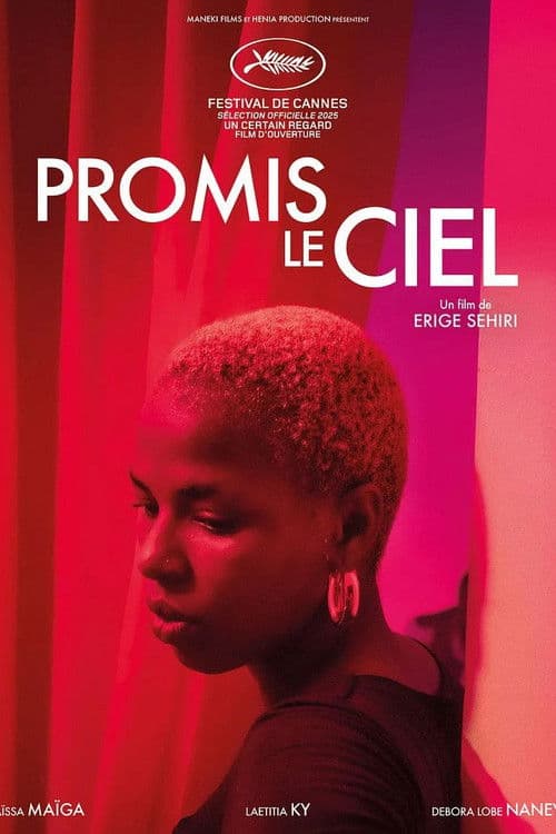 Póster de Prometido el cielo