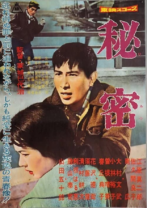 Póster de 秘密