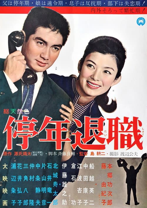 Póster de 停年退職