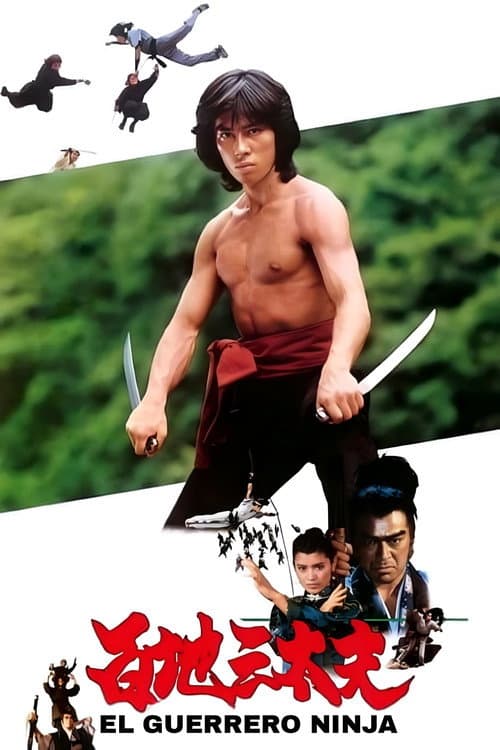 Póster de El guerrero ninja