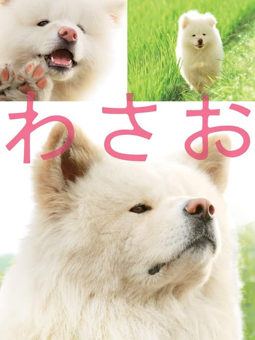 Póster de わさお