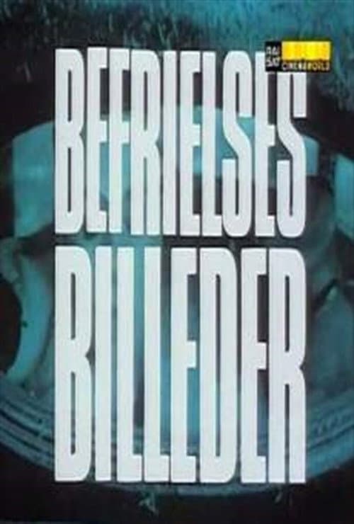 Póster de Befrielsesbilleder