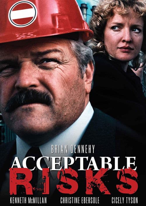 Póster de Acceptable Risks