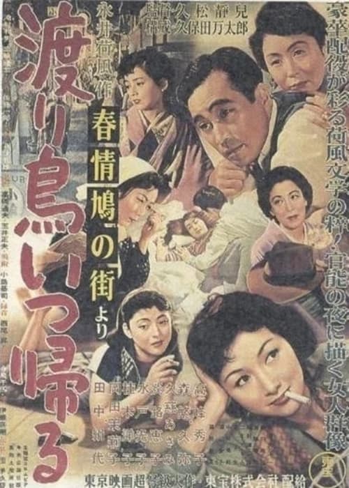Póster de 「春情鳩の街」より 渡り鳥いつ帰る
