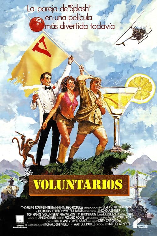 Póster de Voluntarios