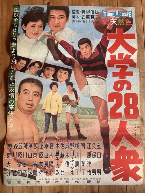 Póster de 大学の28人衆