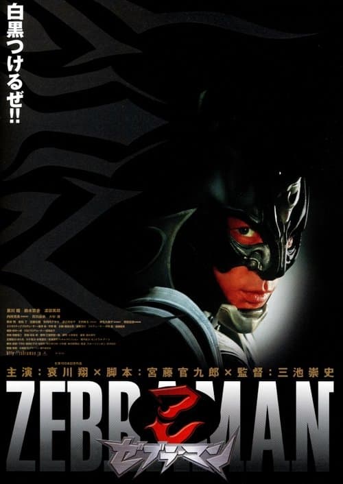 Póster de Zebraman