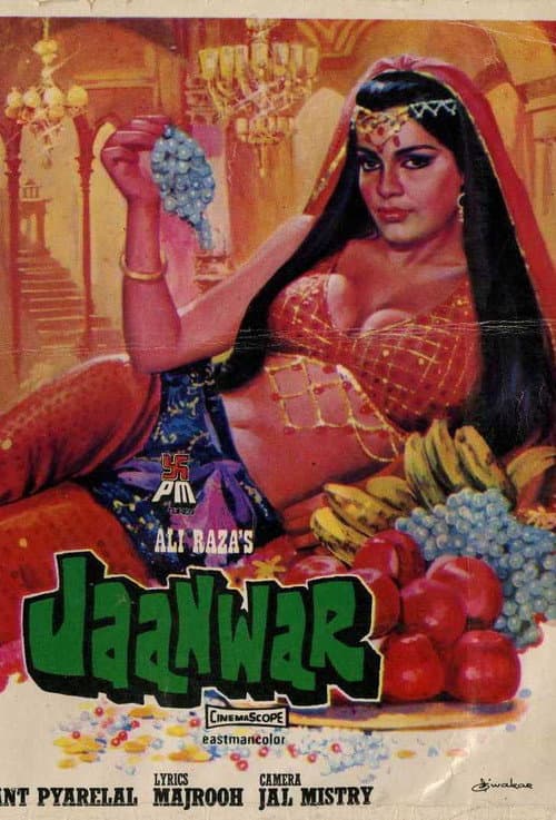 Póster de Jaanwar