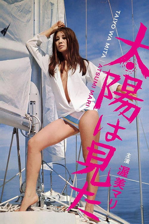 Póster de 太陽は見た