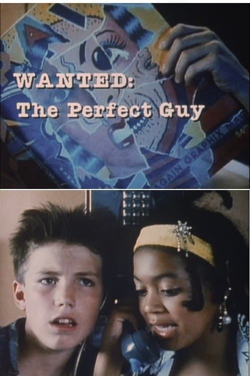 Póster de Wanted: The Perfect Guy