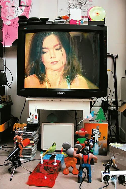 Póster de Björk: MTV Unplugged 1994
