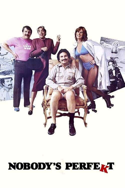 Póster de Nobody's Perfekt