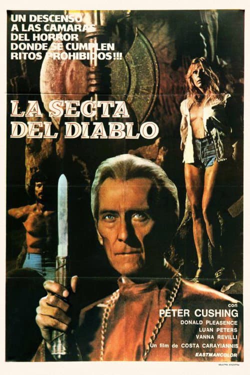 Póster de Poseidos por el demonio