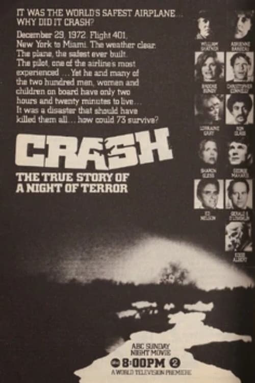 Póster de The Crash of Flight 401