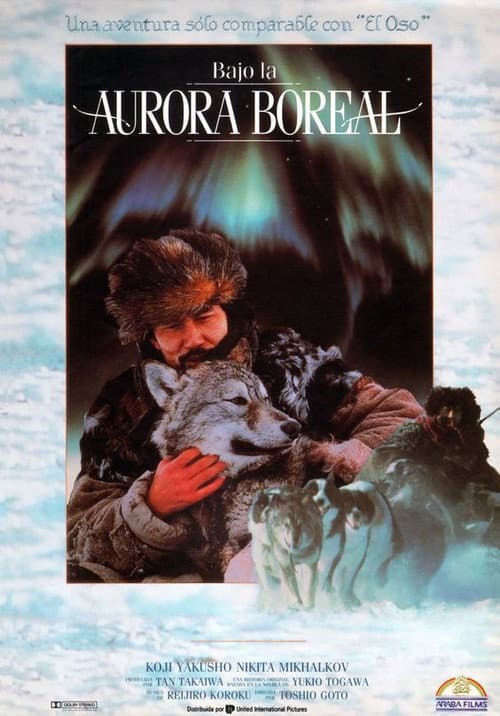 Póster de Bajo la aurora boreal
