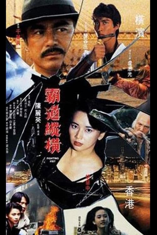 Póster de 霸道縱橫