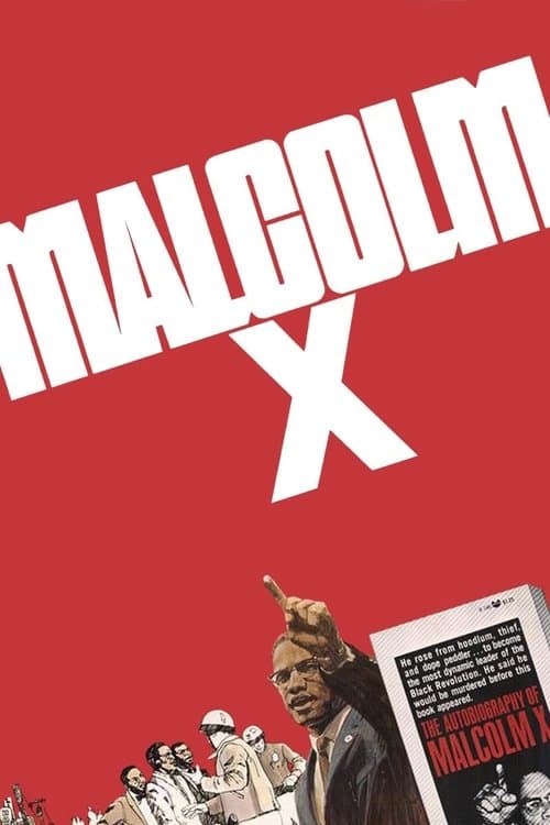 Póster de Malcolm X