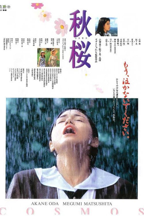 Póster de 秋桜　コスモス