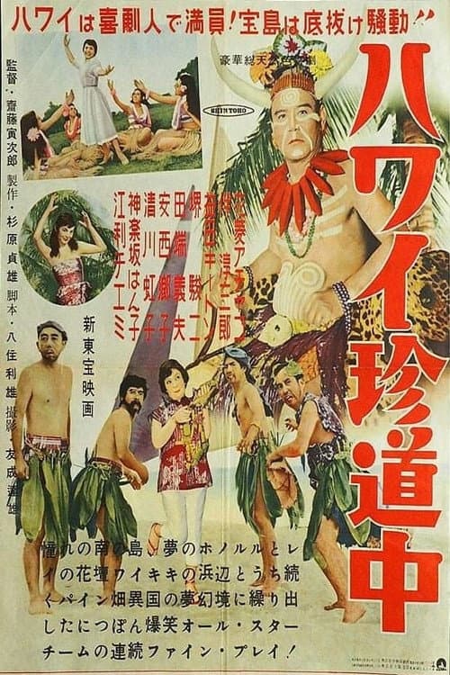Póster de ハワイ珍道中